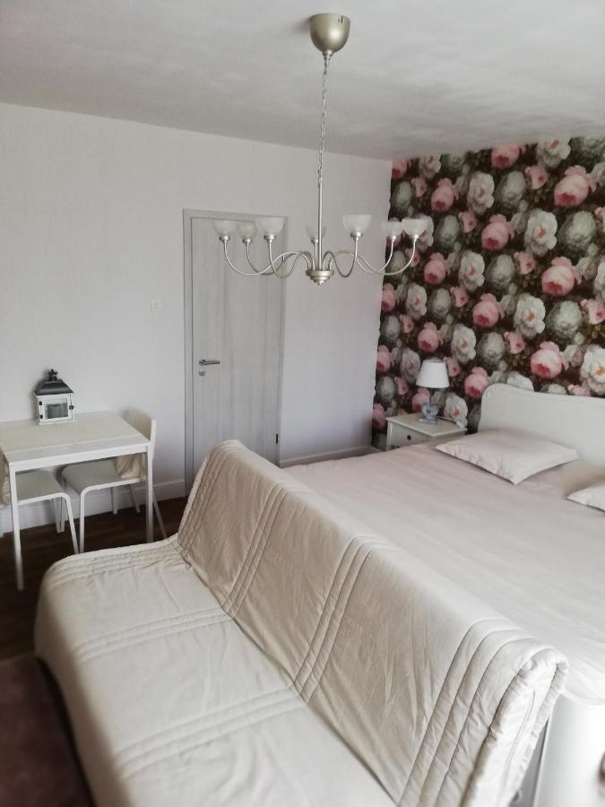 Chambres D'Hotes Sandrine Louis Phalsbourg Ngoại thất bức ảnh